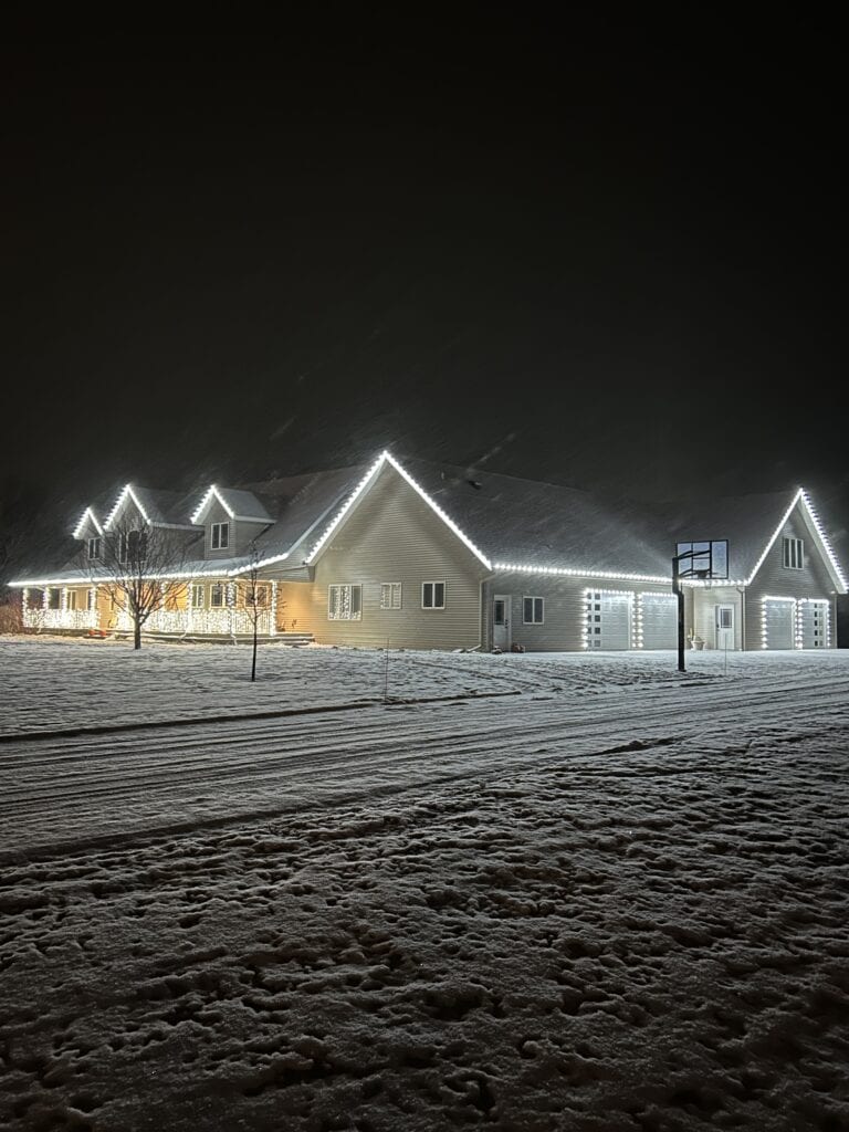 holiday lights