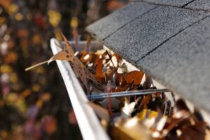 Gutter Cleaning Services to clean leaves | Home Revival USA